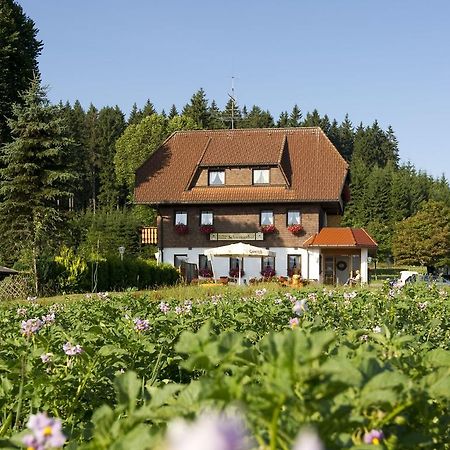 Gasthaus Schweizerhof Titisee-Neustadt Extérieur photo