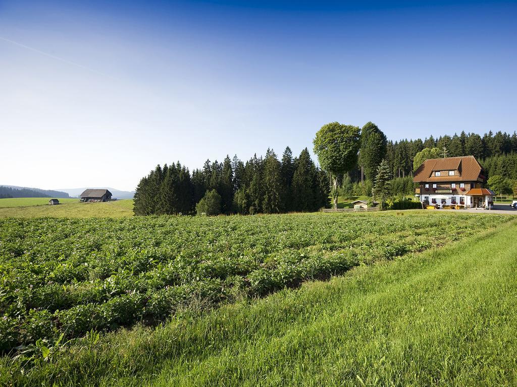 Gasthaus Schweizerhof Titisee-Neustadt Extérieur photo